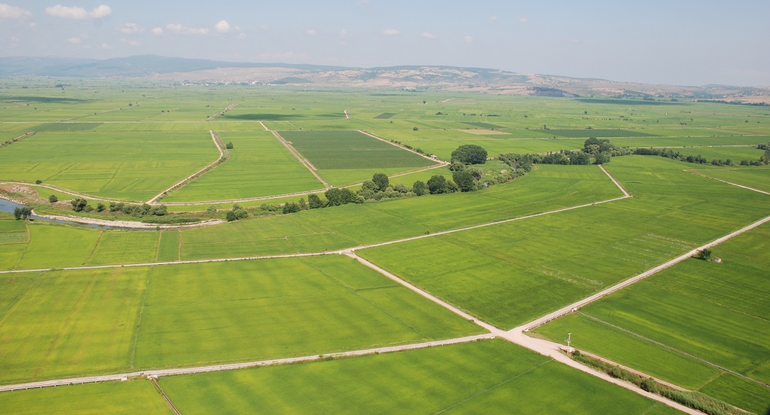 Dolar Bozdurana Yüzde 25 İndirimli Arsa