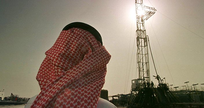 Suudi Arabistan'da Projeler Durduruldu