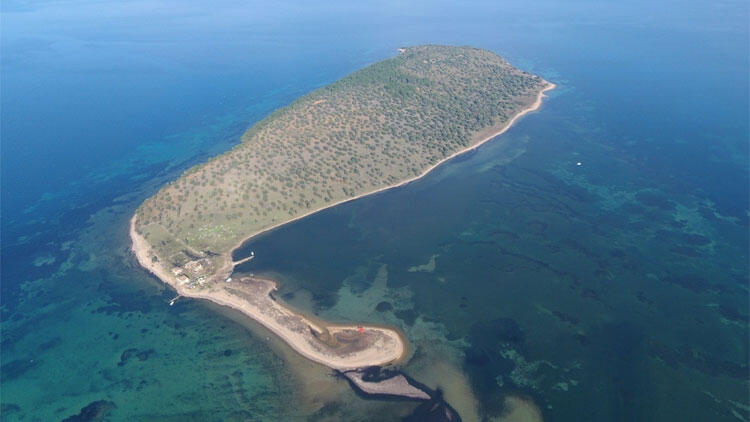 Balıkesir'de 105 Milyon TL'ye Satılık Ada