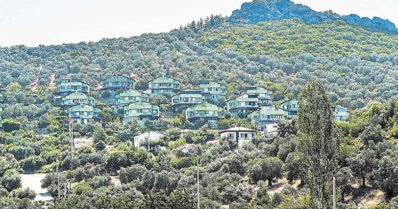 Orman İçerisine Yapılan Villaları Yeşile Boyadılar