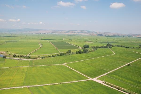 Hazine Arazileri Küçük Esnafa Kiralanacak