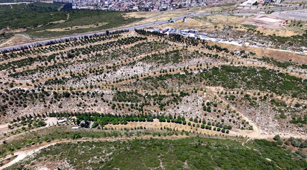 Portakal Vadisi Projesine 'En İyi Kentsel Tasarım' Ödülü