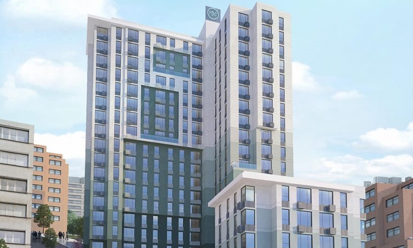 Mint Levent Olive Ön Talep Toplamaya Başladı