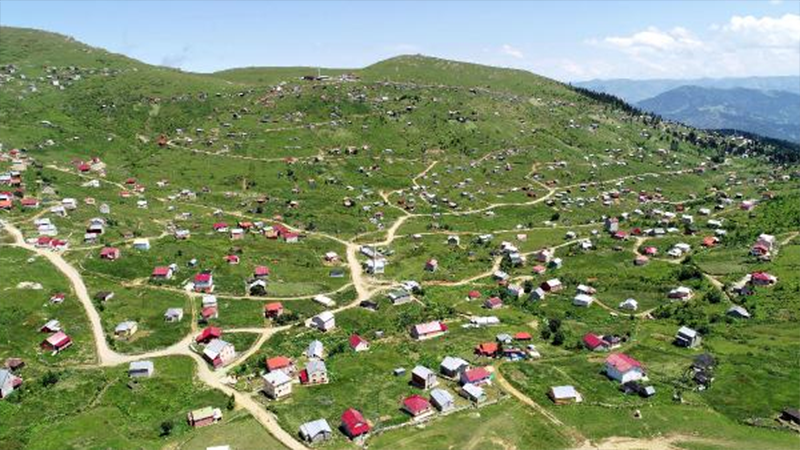 11 İlde 14 Milyon Metrekarelik Alan "Yayla Alanı" Olmaktan Çıkarıldı