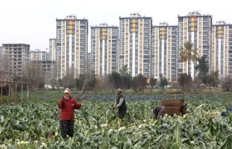 Adana'da Tarım Alanları Kentleşiyor!