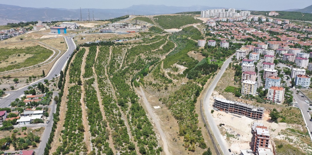 İzmir Portakal Vadisi Projesinde Çalışmalar Başladı