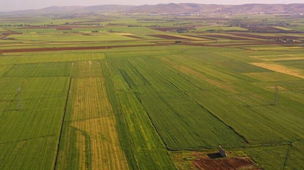 Milli Emlak 131 Araziyi Kiraya Verecek