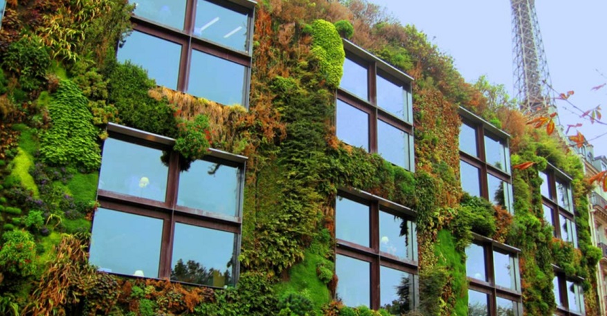 Küresel Isınmaya Karşı Yeşil Binaların Sayısı Artmalı