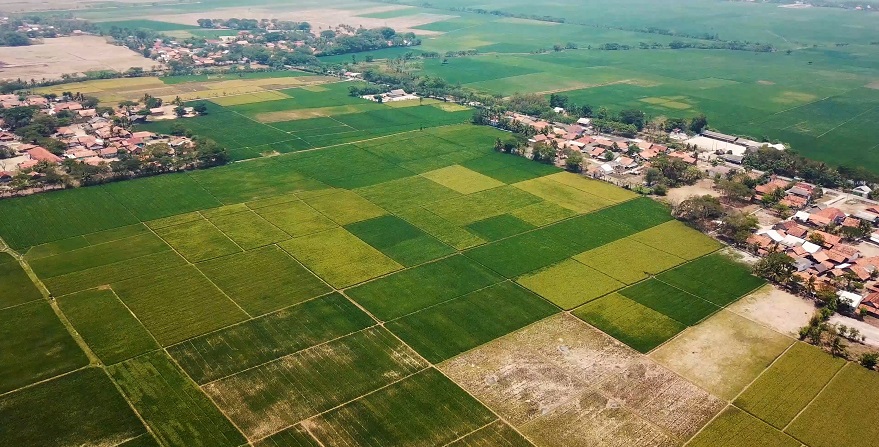 Yatırımcılara 10.6 Milyar TL'lik Hazine Arazisi Desteği