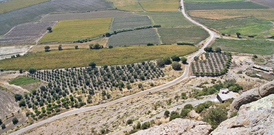 Bergama Belediyesi 17 Tarlayı Satışa Çıkardı