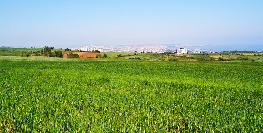 Tekirdağ Arsa Yatırımcılarının Radarında