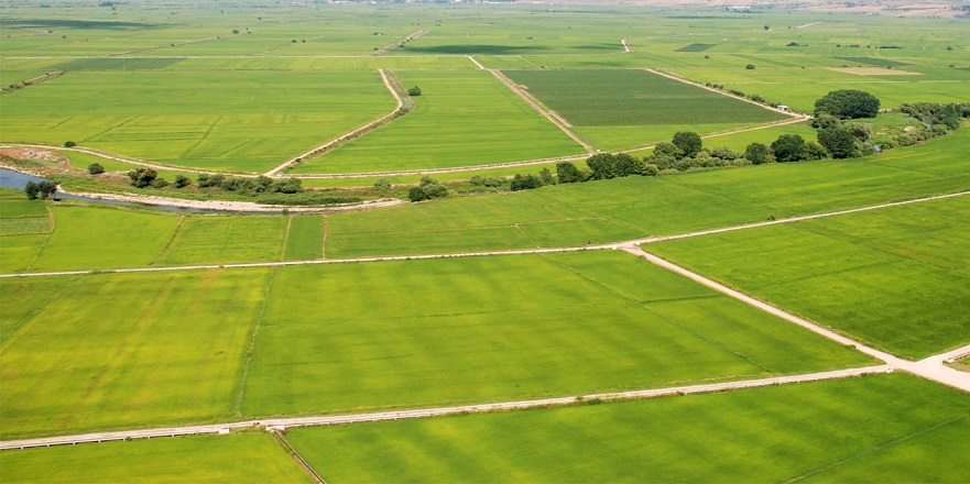 İznik Belediyesi 7 Arsayı Satışa Sunacak!