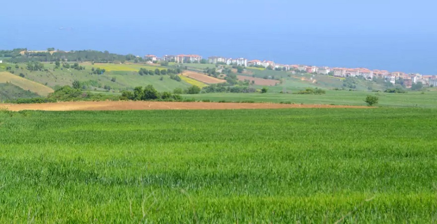 Arsa, Tarla ve İş Yeri Satışlarında Tüm Zamanların Rekoru Kırıldı