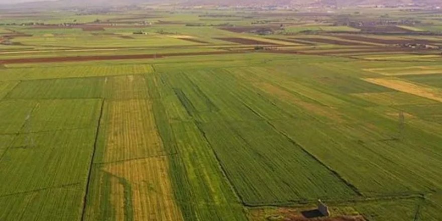 Milli Emlak Uygun Fiyatlarla Onlarca Arsa Satacak