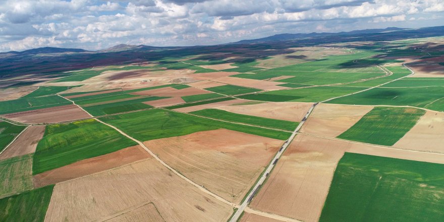 Atıl Araziler Üretime Açılıyor: Kiralık Tarla Uygulaması Başladı