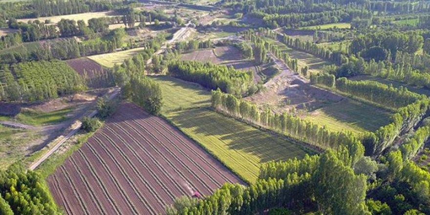 Hazine Taşınmazlarında İşgal Sayısı Her Geçen Yıl Artıyor