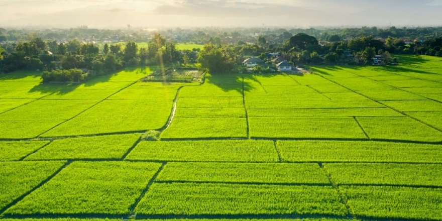 TOKİ, 37 ildeki 252 arsayı açık artırmayla satacak