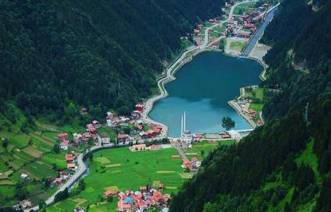 Araplar Trabzon'da yatırım yapmak istiyor!