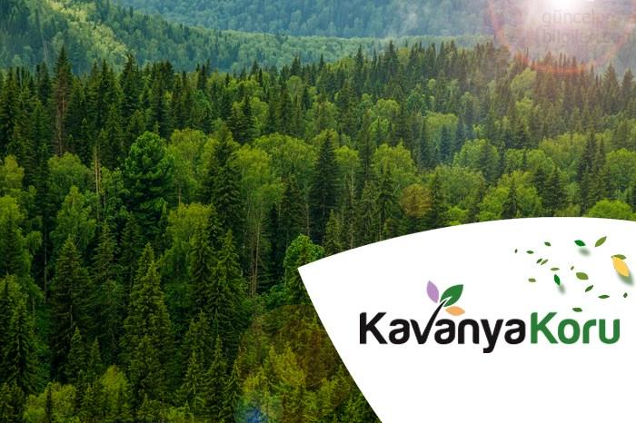 Kavanya Koru Fiyat!