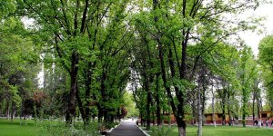 Atatürk Orman Çiftliği İmara Açıldı!