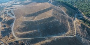 600 Dekarlık Eski Maden Sahasında Rehabilitasyon Çalışmaları Tamamlandı