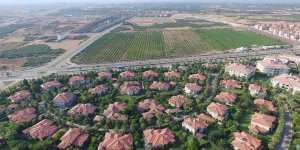 Arsasını Satan Pişman Olur