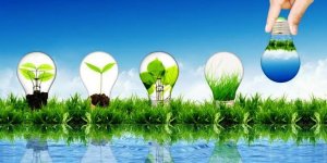 Çevre Sorunlarının Yüzde 50’si Son 35 Yılda Oluştu