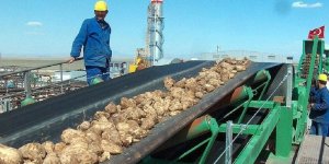 Tekirdağ Şeker Fabrikası İhalesi 19 Temmuzda