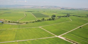 Dolar Bozdurana Yüzde 25 İndirimli Arsa