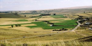 13 Milyon Metrekare Arazi Ekonomiye Kazandırılacak