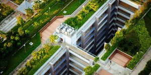 Bitkilendirilmiş Çatılar Su Taşkınlarını Önlüyor