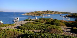 Değerli Kamu Arazileri İhalesiz Satılacak!