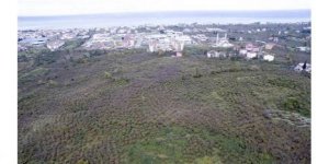 Ordu'ya Yeni Eğitim ve Araştırma Hastanesi Geliyor!