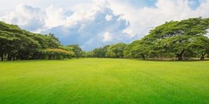 1.000 TL’den başlayan fiyatlarla arsa almak hayal değil