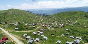 İmar Barışı Fırsatçıları Yaylada Kaçak Site Bile Yapmış