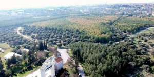 İzmir'in İlk Millet Bahçesi Buraya Yapılacak