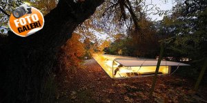 Dünyanın En Güzel Ofis Tasarımları