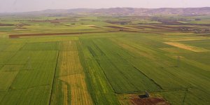 Arazi Bankası Kuruluyor!