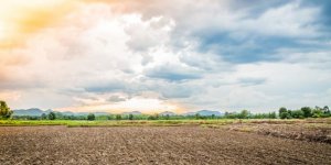 Tarlaya yatırım yapan kazanıyor