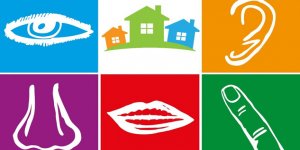 Ev Satın Alma Kararını 5 Duyu Veriyor!