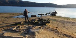 Deniz Geri Çekilince Antik İskele Ortaya Çıktı