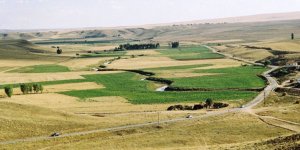 350 Milyon Metrekare Hazine Arazisi Kiralandı