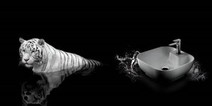 Türkiye’nin İlk Antimikrobiyel Ürünü Bien’den