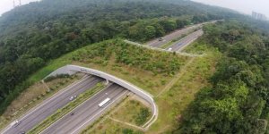 İzmir-Çeşme Otobanında 3 Ekolojik Köprü İnşaatına Başlandı