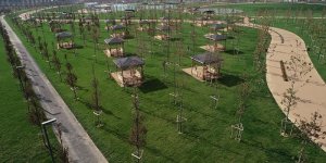 Millet Bahçesi Projelerinin Maliyeti 741 Milyon TL'yi Geçti