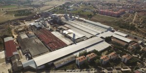 Peli Parke ve Vezirköprü Orman Ürüleri İlk 500'de