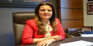 Darıca'da İmara Açılan Zeytinlikler Mecliste!