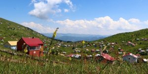 Meralardaki Kaçak Yapılara Af Yok: Tek Tek Yıkılacak