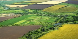 Hazine'ye Ait Arazilerin Satışında Önemli Düzenleme!