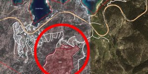 Foça'da 33 Hektarlık Alan İmara Açıldı!